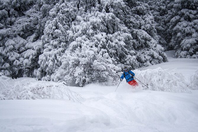 1-day Backcountry Tour - Leaving Almaty for the Zailiyskiy Alatau