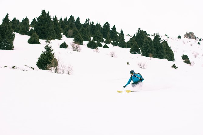 1-day Backcountry Tour - Terrain from tree runs to couloirs