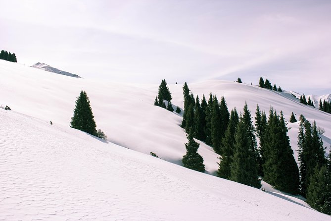 1-day Backcountry Tour - Why the guides matter here