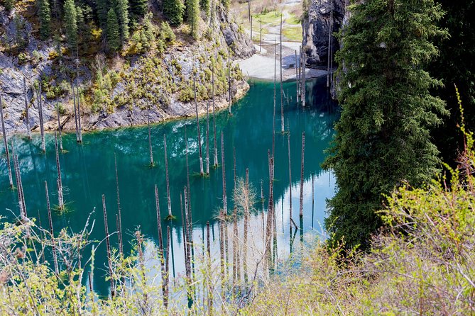 2-Day Private Tour - The Kolsai Lake & Kaindy (Sunken forest) via Charyn canyon - Transport, group size, and guide quality