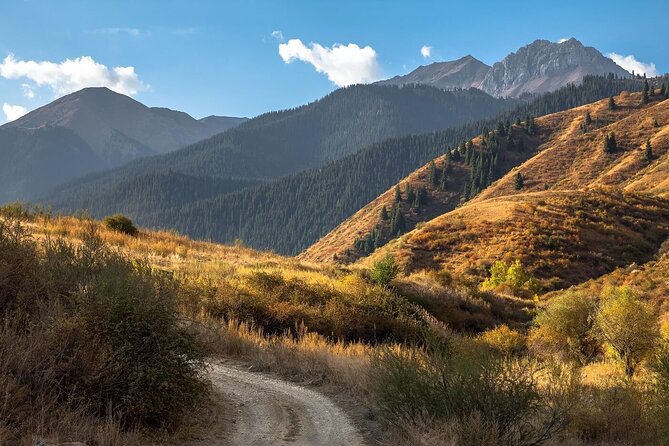 2 Days Tour: Charyn Canyon, Kaindy & Kolsay Lakes - Why this route works from Almaty