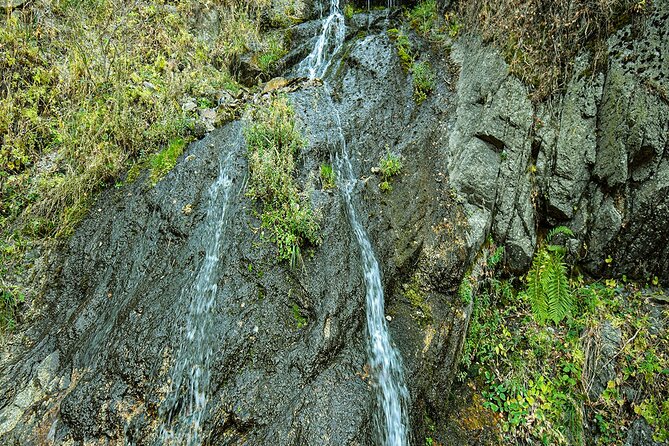 Alma-Arasan gorge tour - What the views may be like