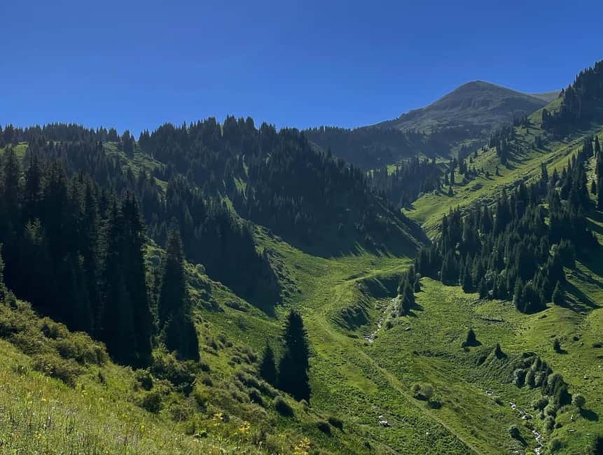 Almaty: Advanced Hiking - Four Peaks Hike - What kind of hike is this?