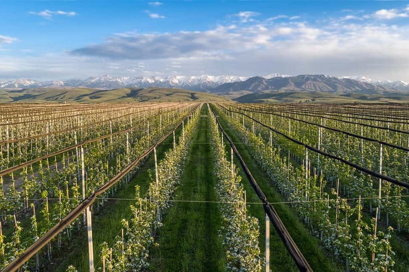 Almaty City: Big Almaty Lake Roundtrip Transfer and Tour - Who should book this lake tour?