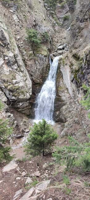 Almaty: Hiking to the High Mountain Pasture Kok Zhailau - What the $144 Price Really Covers