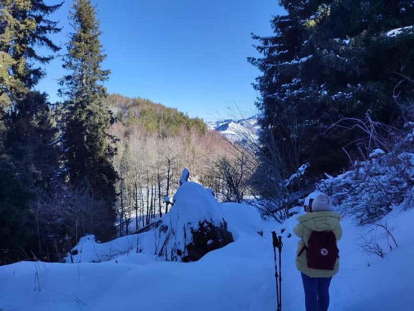 Almaty: Hiking to the High Mountain Pasture Kok Zhailau - Who Should Book This Hike?