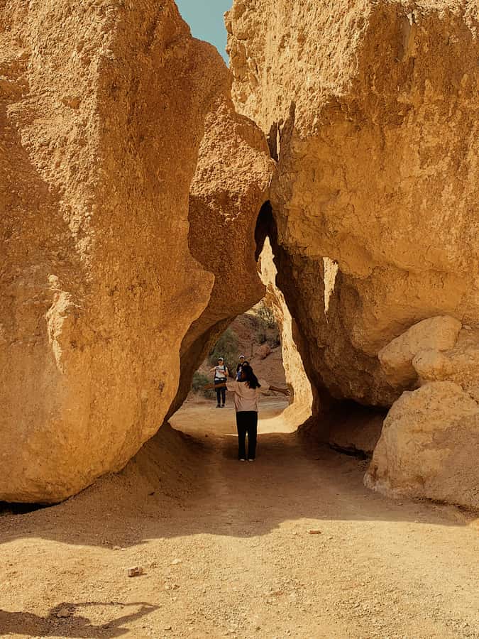 Almaty: Kolsay & Kaindy Lakes, Charyn Canyon Private Tour - What makes this day trip worth considering