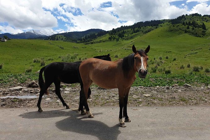 Almaty Region 3 Days Tour from Almaty - Should you book the Almaty Region 3 Days Tour?