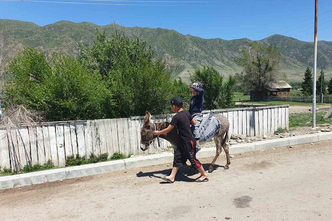 Almaty Region 3 Days Tour from Almaty - Day one: Almaty to the red rock of Aktau