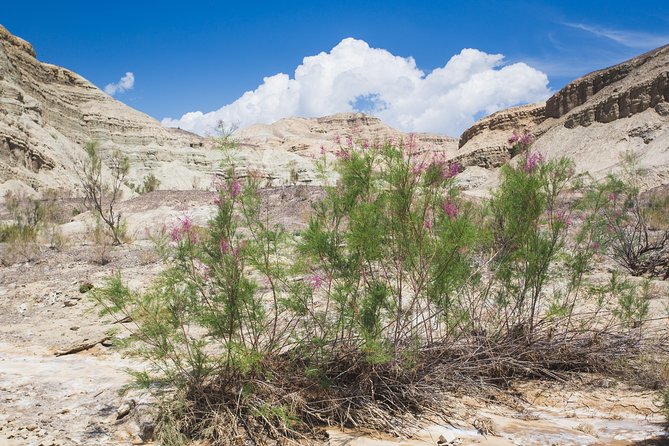 Altyn Emel. Singing dune and Aktau mountains 2 days tour - Kapchagay Reservoir: a brief first look