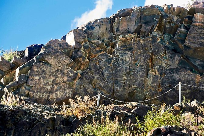 Ancient petroglyphs of Tanbaly - UNESCO World Heritage - Why Tamgaly is worth a full day from Almaty