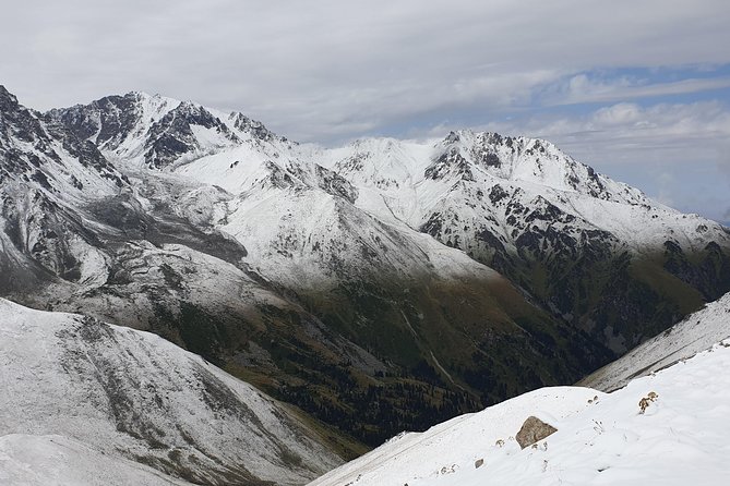Big Almaty Lake and City Private Tour - Why Big Almaty Lake Makes a Strong First Stop