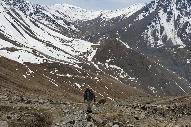 Big Almaty Lake and City Private Tour - What You Can Expect at Big Almaty Lake