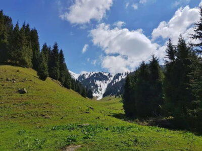 “Butakovka Waterfall” – a half day tour