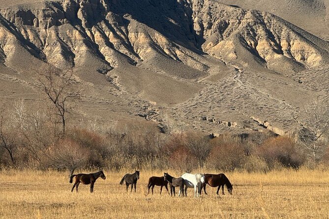 Charyn Canyon and Black Canyon 1 Day Private Tour - The 9:00 pickup sets the tone