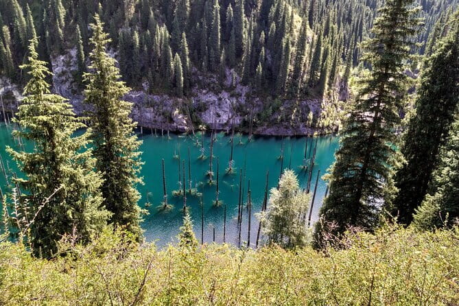 Charyn Kolsay Kaindy Private Tour - Kolsai Lake: walking, lunch, and an optional boat