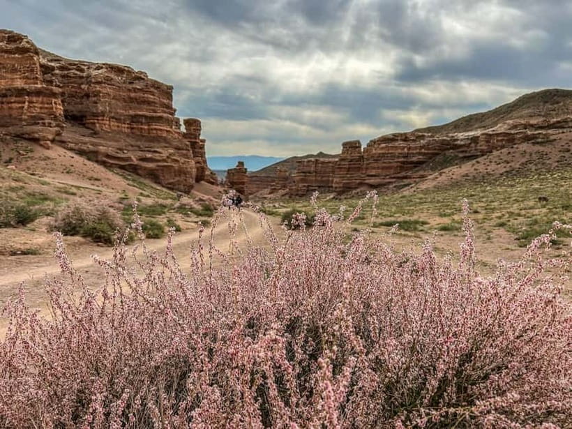 From Almaty: Charyn Canyon Full-Day Trip with Boxed Lunch - Leaving Almaty for the three-hour journey
