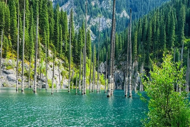 One day Private Tour to Charyn Canyon, Kaindy and Kolsay Lakes - Kaindy Lake and the flooded forest