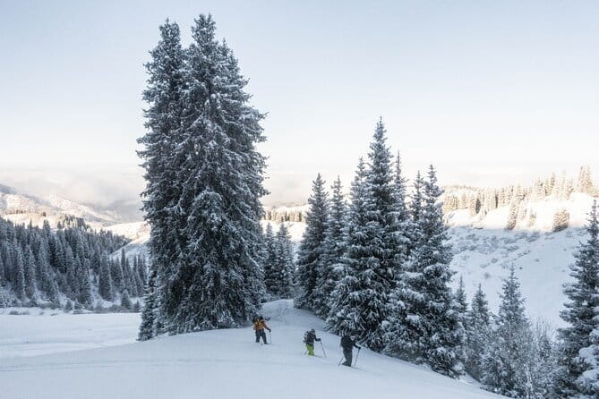 One Day Ski Tour Near Almaty - Is $277 a fair price?