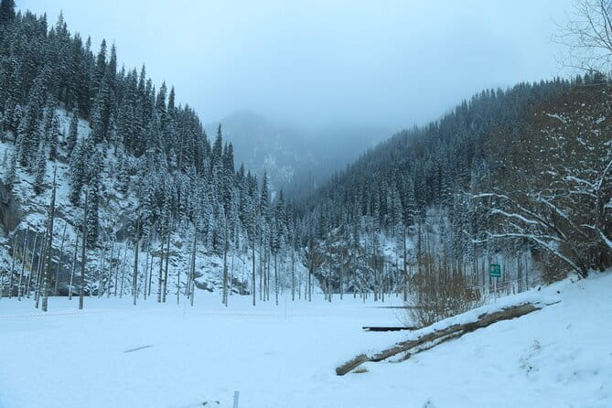 Private Charyn Canyon, Kolsai Lake with Optional Kaindy Lake tour - The long road to Kolsai Lake