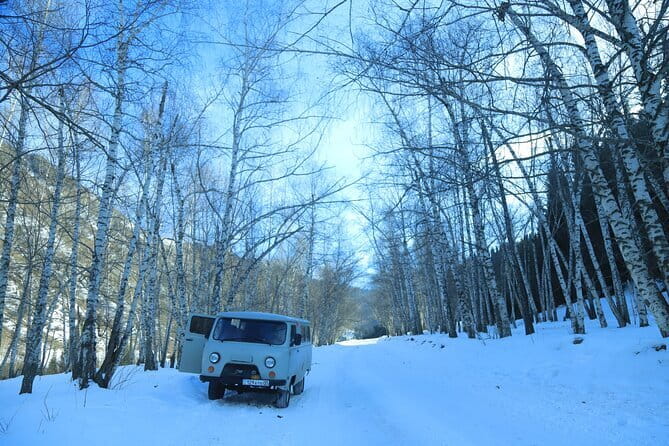 Private Charyn Canyon, Kolsai Lake with Optional Kaindy Lake tour - Who will enjoy this tour most