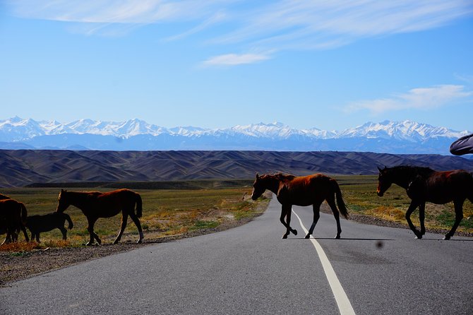 Private tour Almaty Region 3 days with Silktravel - Aktau and Katutau: Kazakhstan’s desert geology