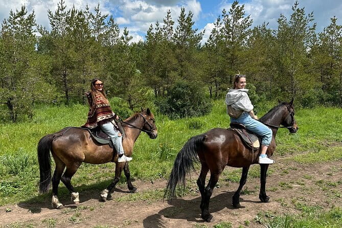 Private Yurt Tour with Horses: Immerse into Kazakh Culture - Sitting inside a traditional Kazakh yurt